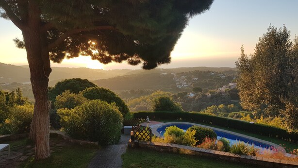Un jardín ajardinado con piscina, rodeado de árboles y colinas al fondo.
