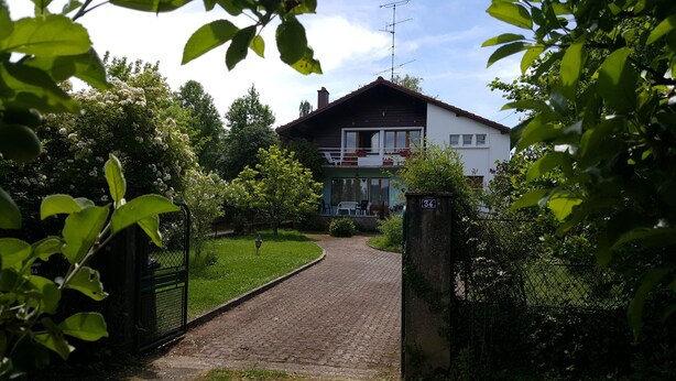 Una casa con camino de entrada pavimentado que conduce a una entrada con puerta de rejas, rodeada de follaje y árboles.