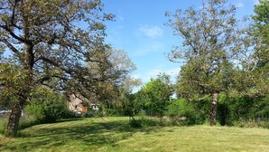 Un espacio cubierto de césped con árboles y un sendero.