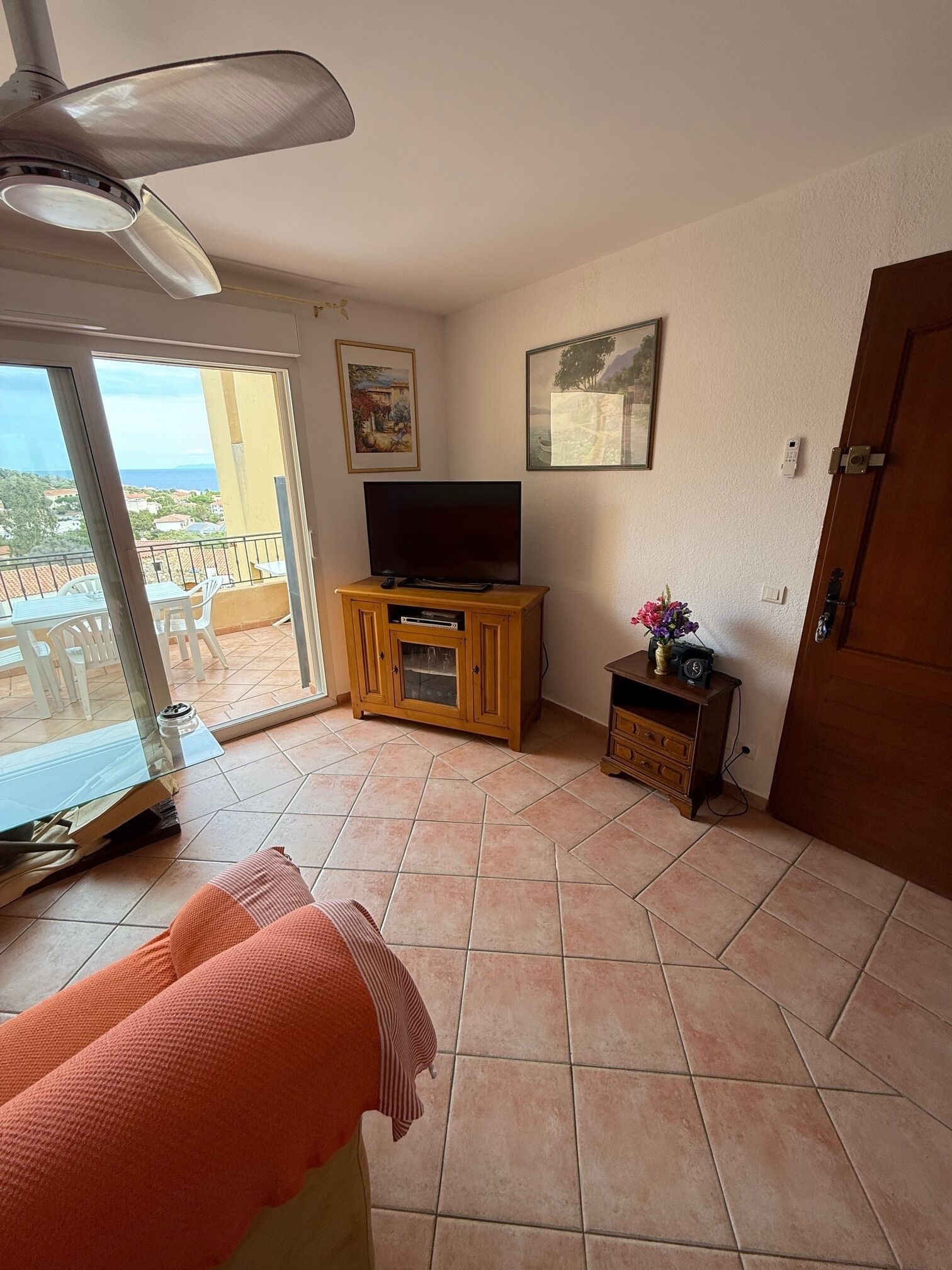 Televisie, een dvd-speler en boeken