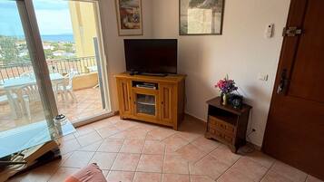 Televisie, een dvd-speler en boeken