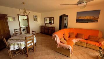 Televisie, een dvd-speler en boeken