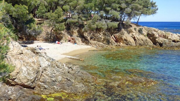 Ein felsiger Strand mit klarem Wasser, Bäumen und einem sandigen Bereich.