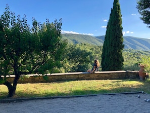 Property grounds - Charming house with private pool in the heart of the village (Bonnieux)