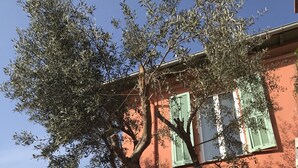 A building with a tree in front, a fence, and a clear sky. - VILLA FOR RENT (near the beach with swimming pool, garden barbecue). (Menton)