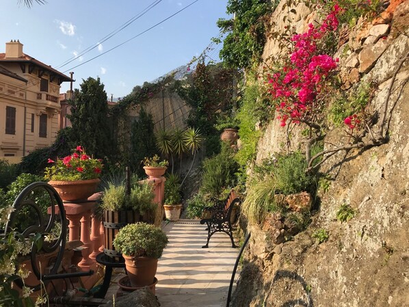 A narrow pathway flanked by potted plants and a stone wall with blooming flowers.
