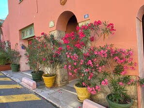 Exterior detail