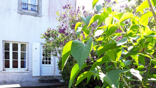 A white house with a front door and windows, surrounded by green grass and flowering plants. - Family house near Morlaix, enjoy the countryside and the sea (Plouigneau)