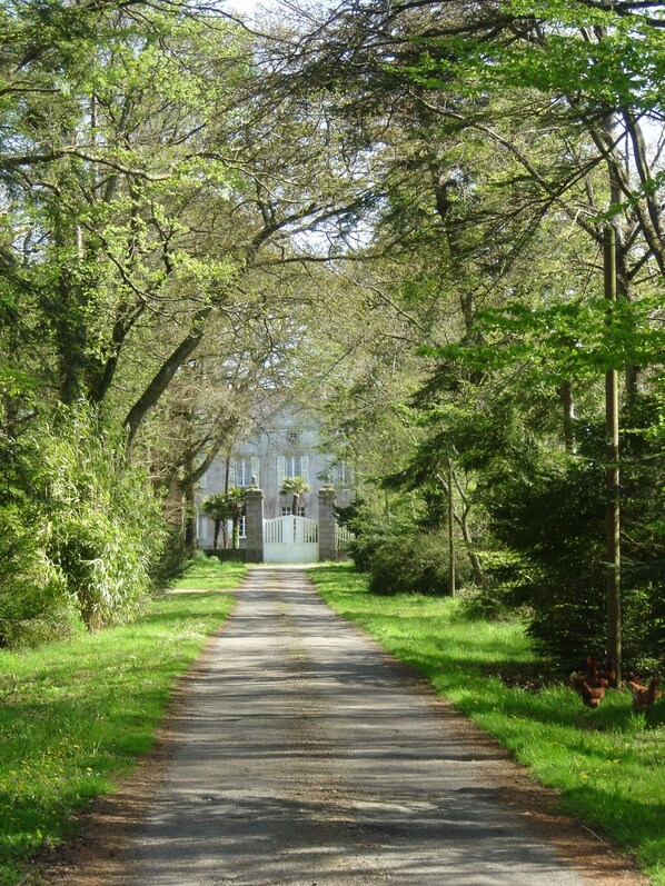 Um caminho leva a um edifício grande e histórico, cercado por vegetação exuberante.