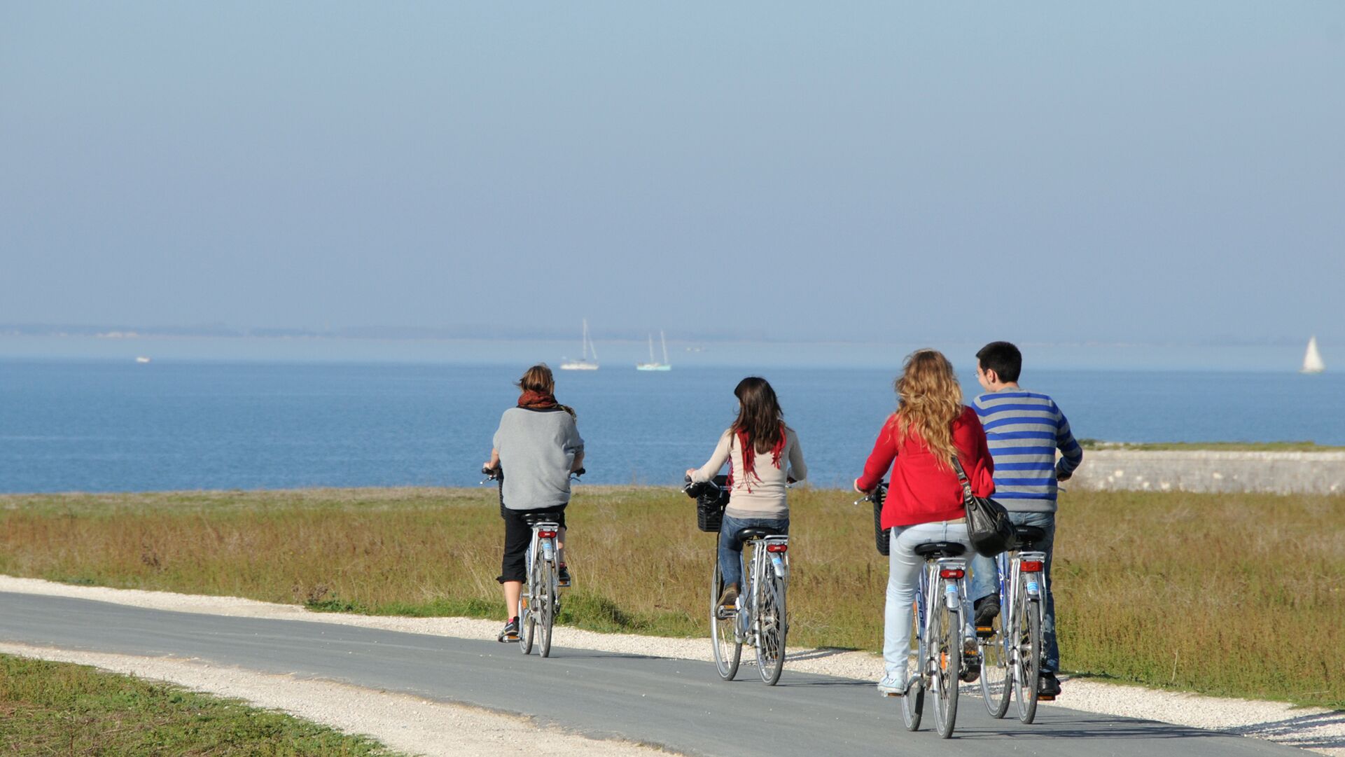 Four people riding bicycles on a paved path by the sea.