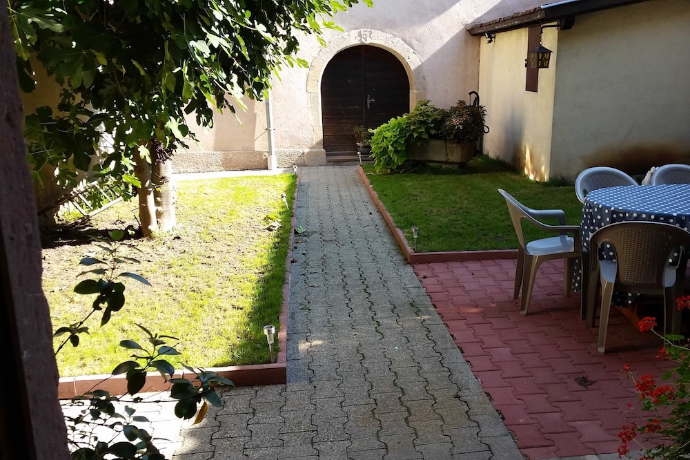 Charming 8-person gîte on the Alsace wine route