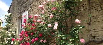 Le P'tit Pichot Charming Cottage in little wine village 8kms from Beaune