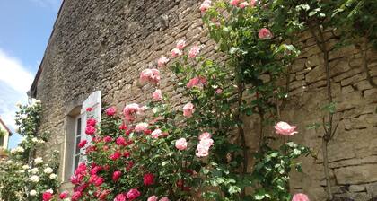 Le P'tit Pichot Charming Cottage in little wine village 8kms from Beaune