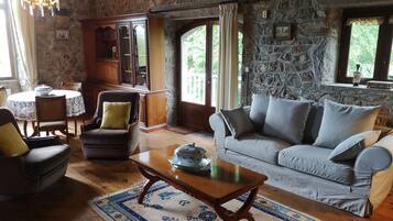 Télévision, cheminée, lecteur de DVD