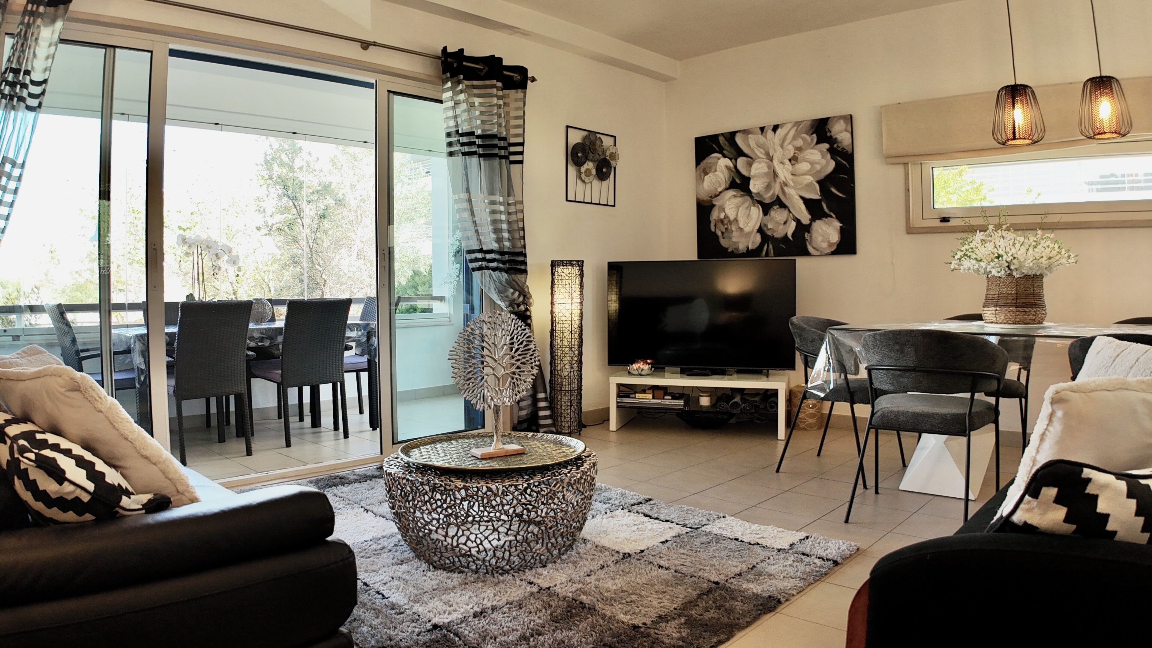 智能電視、DVD 播放機、書籍