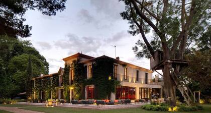 Great luxury at the foot of the Chateau