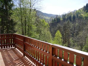 Terrain de l’hébergement 