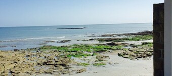 Your garden: the beach 