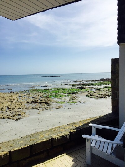 Your garden: the beach 