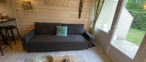 Télévision, table de tennis de table, livres