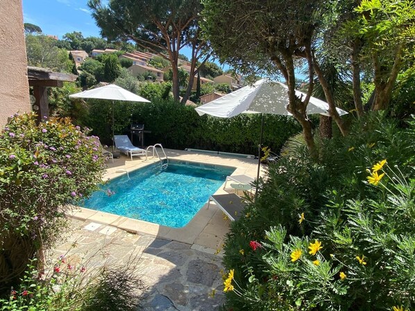 A rectangular swimming pool with a stone deck, surrounded by lush greenery and two white umbrellas. - Charming house with swimming pool classified 3 *** (Bormes-Les-Mimosas)