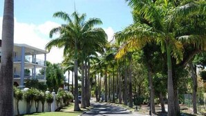 Property grounds - LARGE STUDIO OF 42M2 ! + TERRACE OF 17M2 ! + SWIMMING POOL RESIDENCE + PRIVATE WIFI ! (Saint François)
