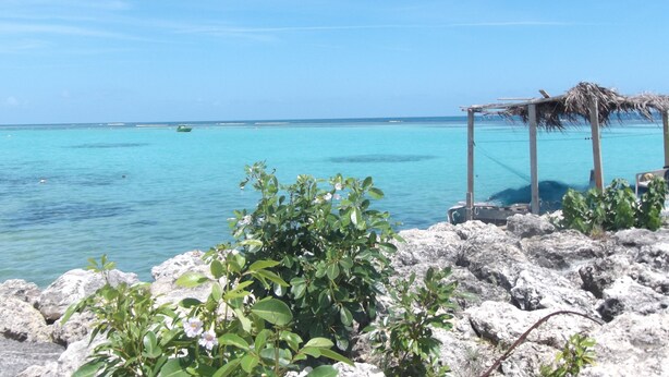 Beach nearby - LARGE STUDIO OF 42M2 ! + TERRACE OF 17M2 ! + SWIMMING POOL RESIDENCE + PRIVATE WIFI ! (Saint François)