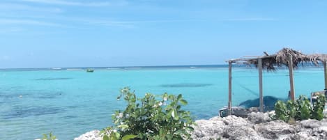 Vue sur la plage/l’océan