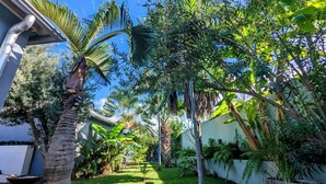 A garden with palm trees, a pathway, and a building with a white exterior.