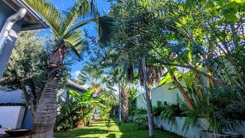 Un jardin avec des palmiers, un sentier et un bâtiment à l’extérieur blanc.