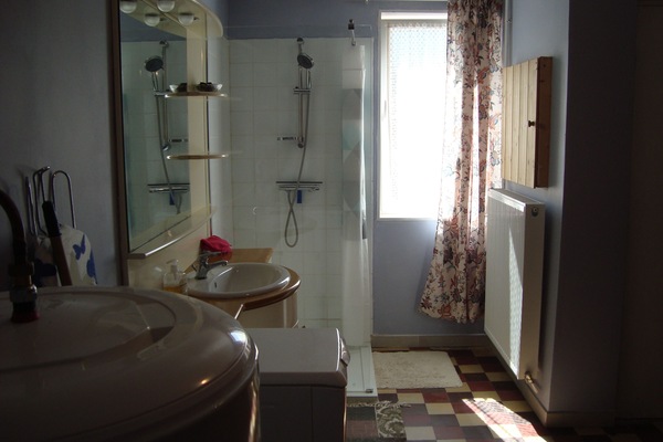 Shower, towels, toilet paper