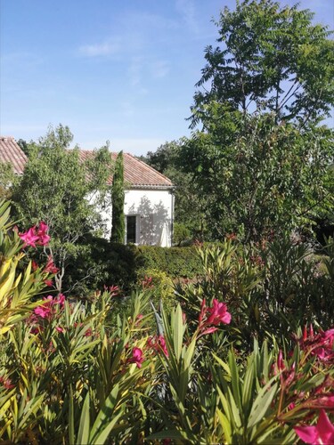 Le Mas de Molines, Gîte le Néflier, Schwimmbad und Garten.