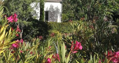 Le Mas de Molines, Gîte le Néflier, Schwimmbad und Garten.