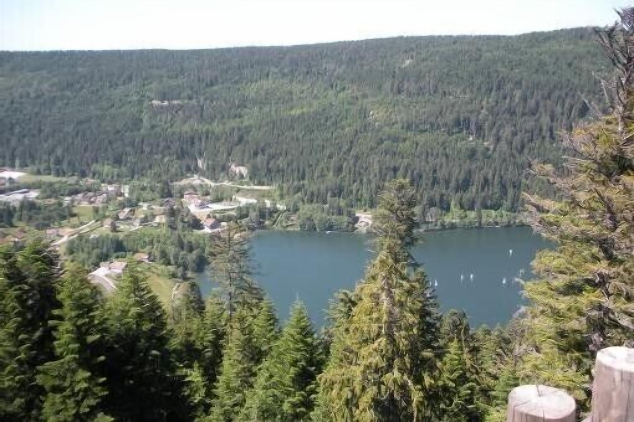 A lake surrounded by dense forest and a small settlement with buildings and paths visible.