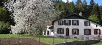 Accommodation 4 people garden, quiet, GERARDMER FREE WIFI