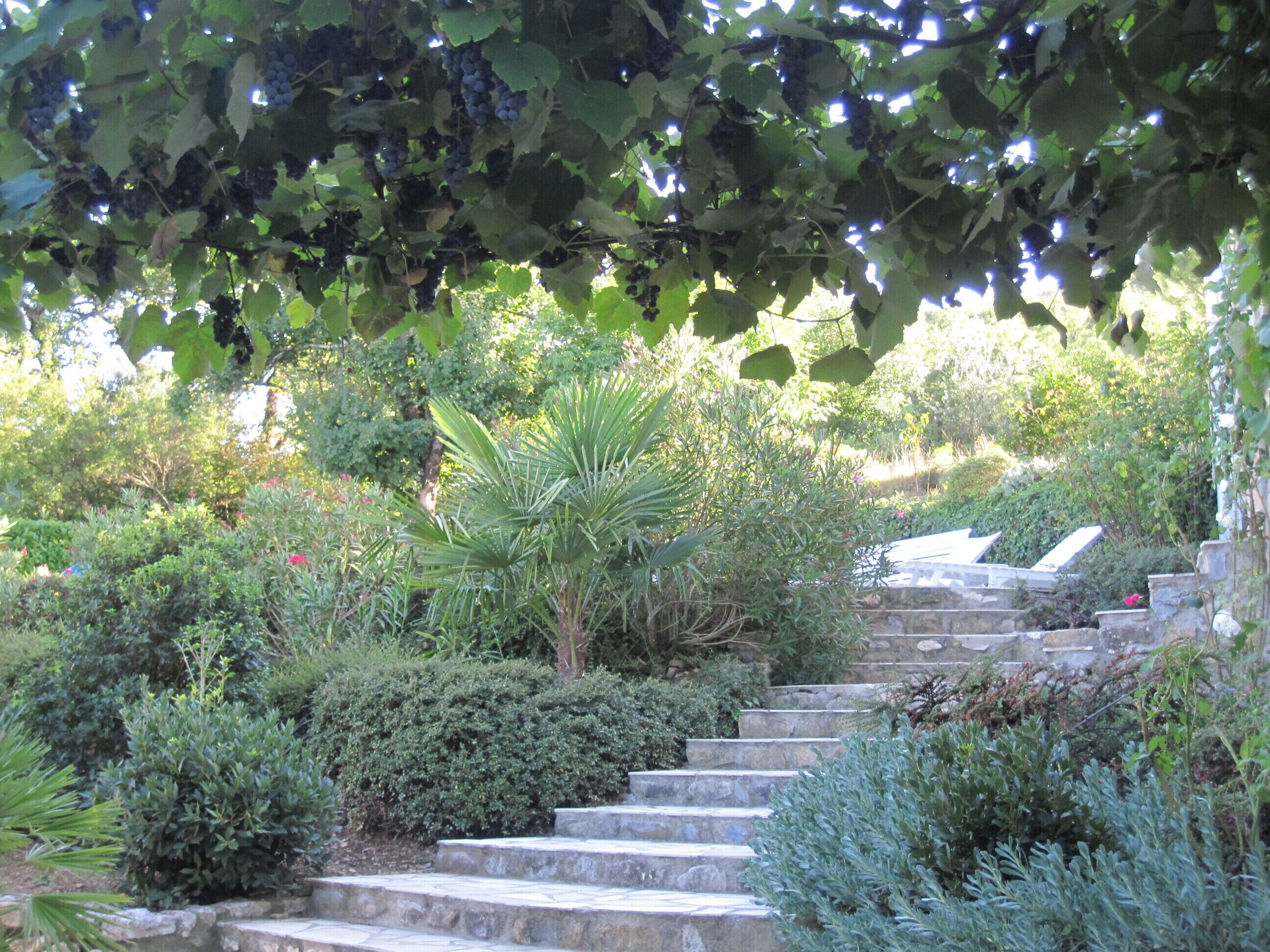 Áreas de la propiedad