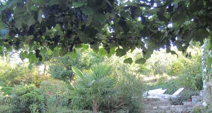 Stone house with private pool, quiet, ideal for families to visit.