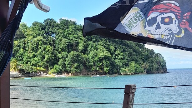 A hammock and a flag with a skull design, overlooking a clear blue sea and a forested island. - Apartment of 190 m2 above the water (La Trinité)