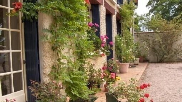 A building with a stone facade, potted plants, and a tiled patio area.
