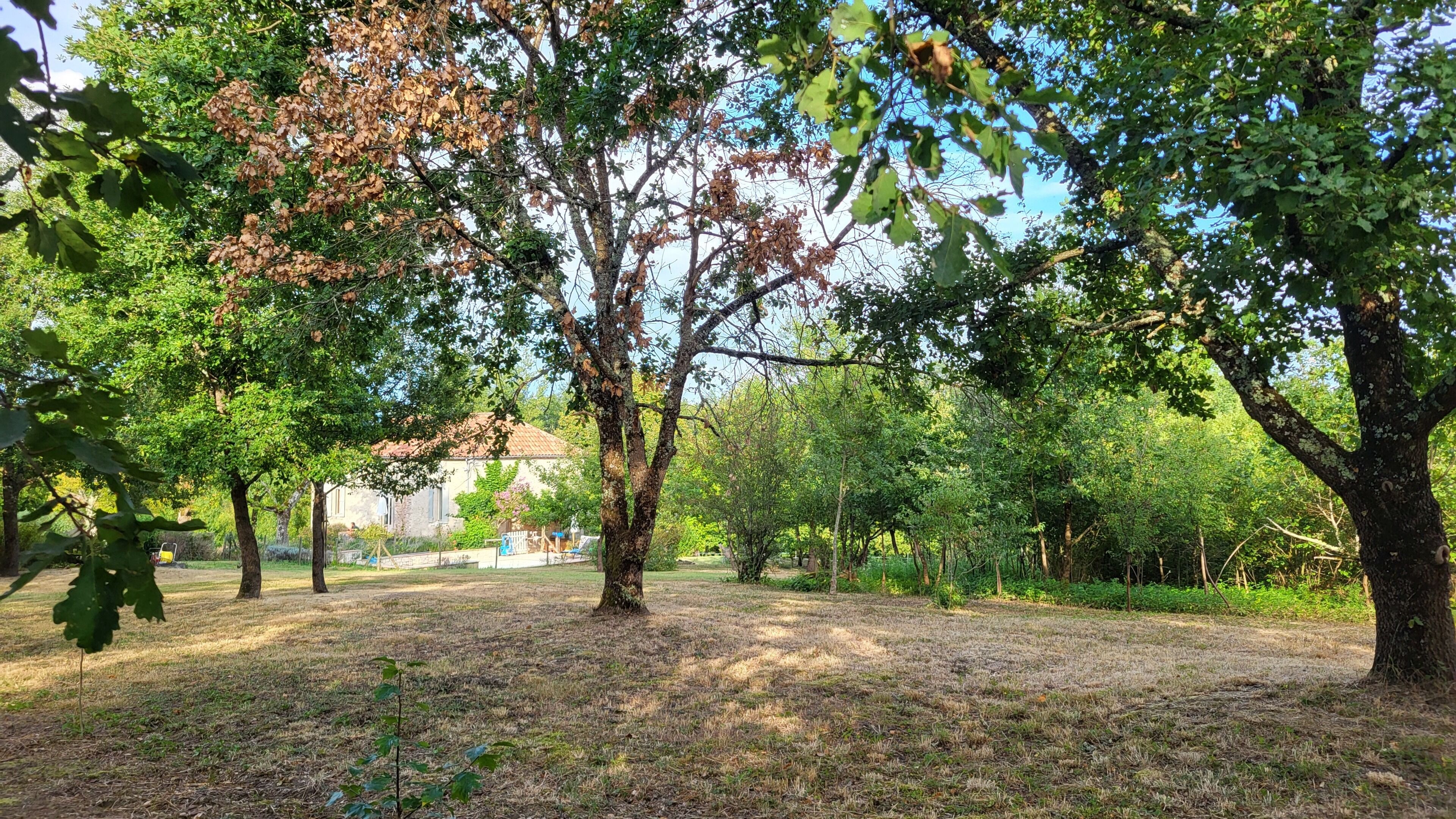 A park with trees, grass, and a building in the background.