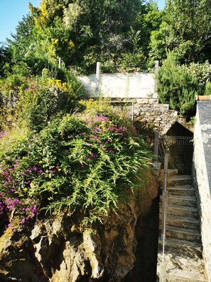Property grounds - La Cancalita, charming farmhouse - Cancale, land, sea, family, friends (Cancale)