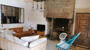 Una sala de estar con chimenea de piedra, un sofá, un televisor y una silla azul.