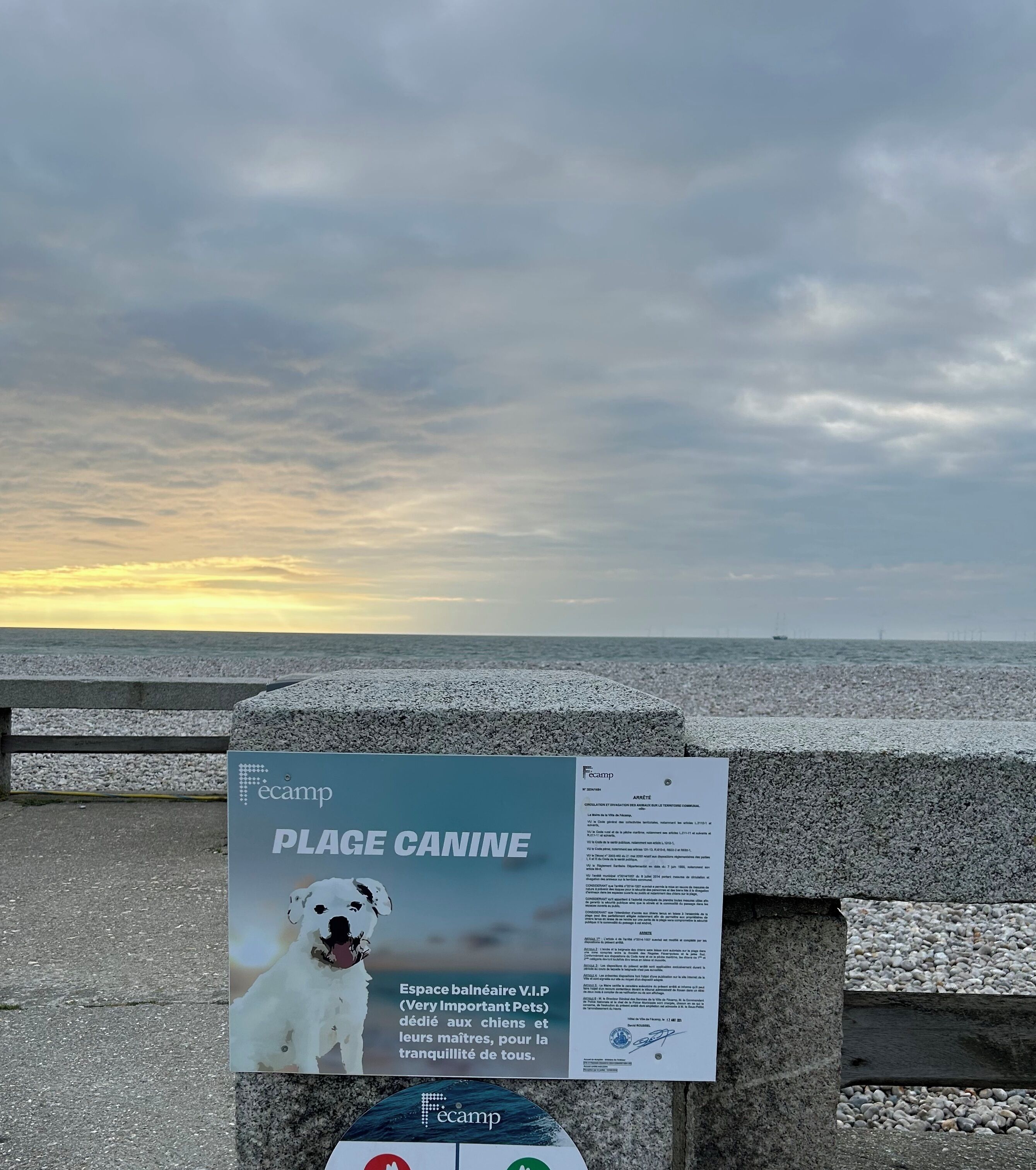 A signboard with a dog and text about a canine place, set against a cloudy sky and sea backdrop.