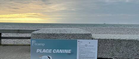 A signboard with a dog and text about a canine place, set against a cloudy sky and sea backdrop.