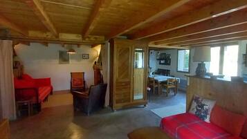 TV, fireplace, DVD player, books