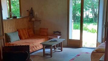 TV, fireplace, DVD player, books