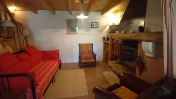 Télévision, cheminée, lecteur de DVD, livres