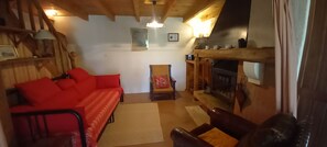 TV, fireplace, DVD player, books