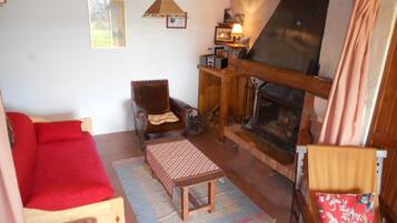 TV, fireplace, DVD player, books