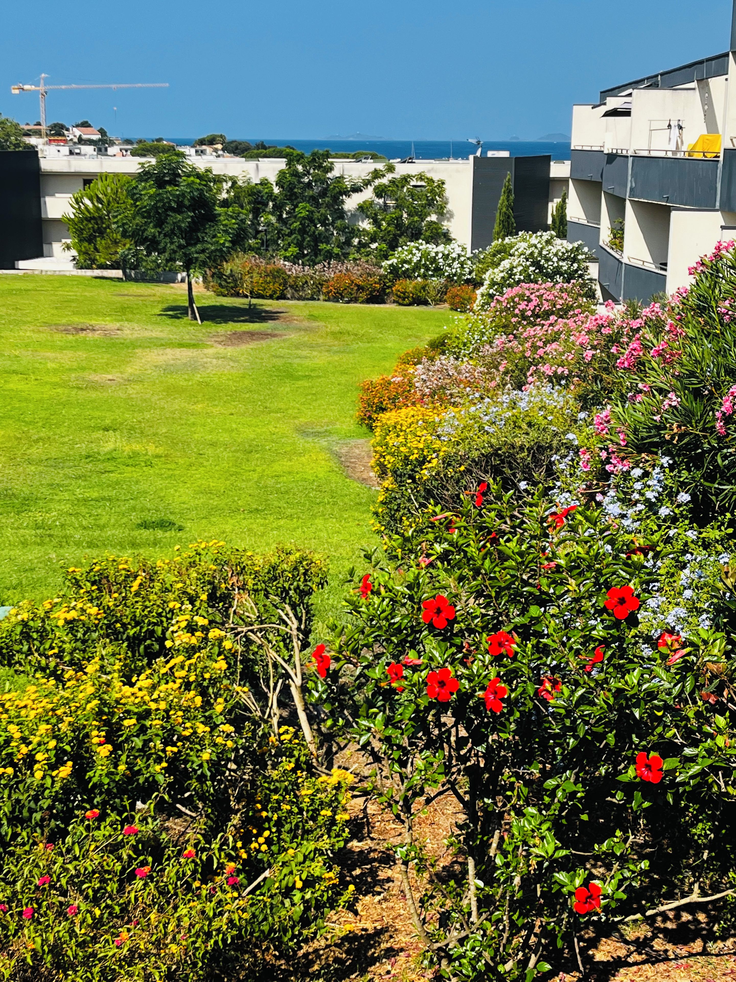 A residential area with a well-maintained lawn, various flowering plants, and a view of the sea in the background.